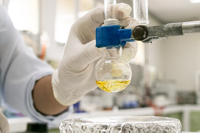 O novo trâmite concentra todas as fases do processo, da negociação à celebração, na Coordenadoria de Projetos e Parcerias da UFC Inova (Foto Ribamar Neto/UFC) Imagem: uma mão com luvas de plástico segura um tubo de ensaio contendo uma substância amarela