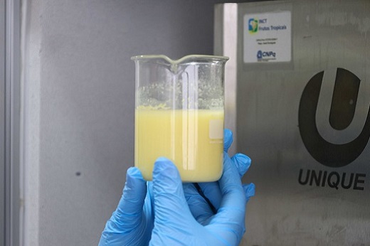 Imagem: O processo reduziu em quase 80% o teor de taninos, compostos responsáveis pela adstringência da bebida, e aumentou em 67% os fenólicos totais, substâncias antioxidantes benéficas à saúde (Foto: Viktor Braga - Secom/UFC)