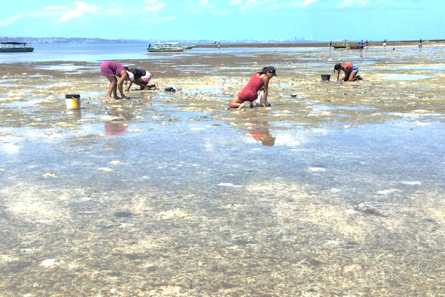Imagem: Mulheres pescadoras em região de praia 