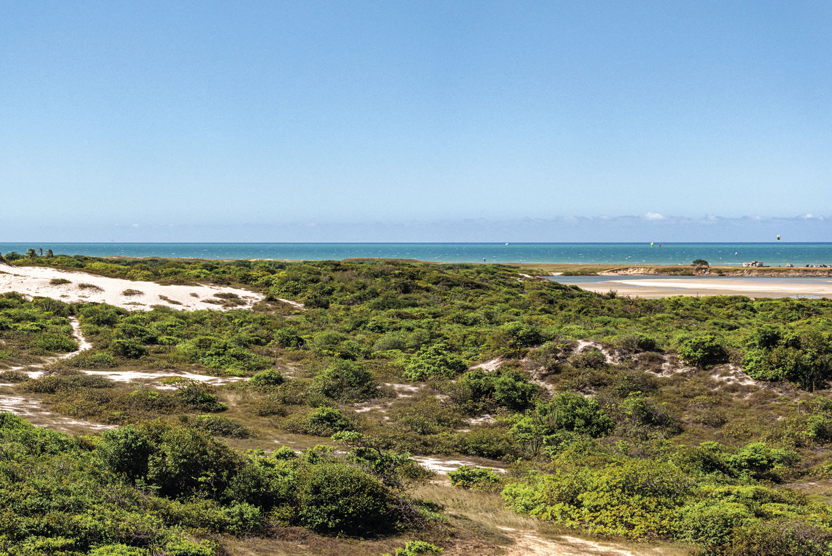 Paisagem de plantas, areia e mar da APA Rio Pacoti