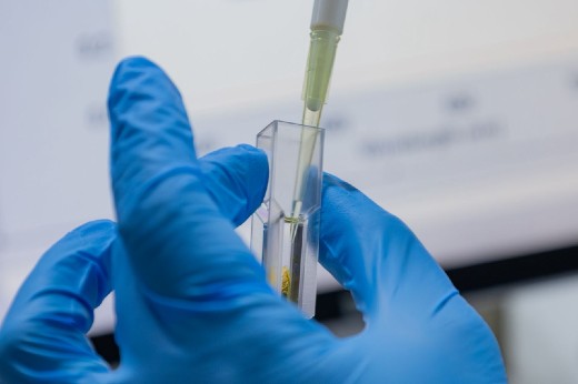 O CAS é uma divisão especializada na organização e disponibilização de informações científicas na área de Química (Foto: Guilherme Silva/UFC) Imagem mostra mão de pesquisador, usando luva cirúrgica, segurando uma pipeta commlíquido transparente em ambiente laboratorial (Fot