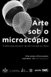 Imagem: Na exposição, o público poderá conferir 32 fotografias captadas por técnicas de microscopia