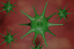 Imagem: Representação do coronavírus (Foto: Pixabay)