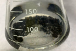 Imagem: Fragmentos de petróleo bruto que passam pela ação de decomposição por bactérias (Foto: Divulgação) 
