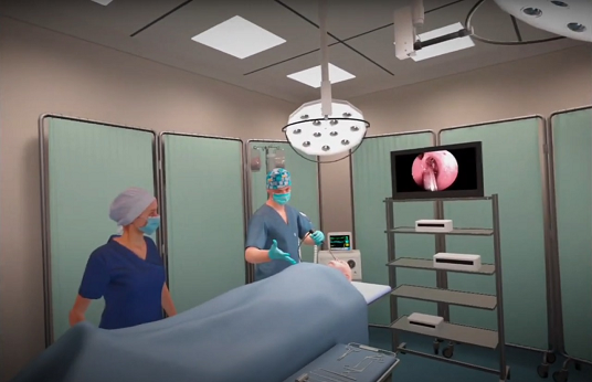Imagem: Foto de simulação digital de procedimento médico com recursos de realidade virtual. (Foto: Acervo LABVIS)