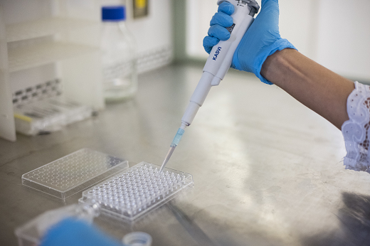 Imagem: foto de uma braços de uma pessoa com luvas azuis manuseando material em um laboratório