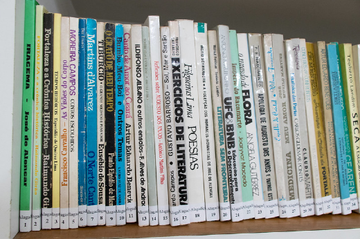 Imagem: exemplares de livros em estante