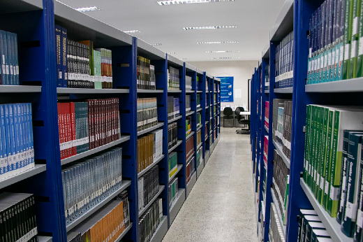 Imagem: Foto de um corredor de biblioteca. As colunas das estantes são da cor azul e as prateleiras são da cor cinza. Todas estão repletas de livros (Foto: Ribamar Neto/UFC Informa)