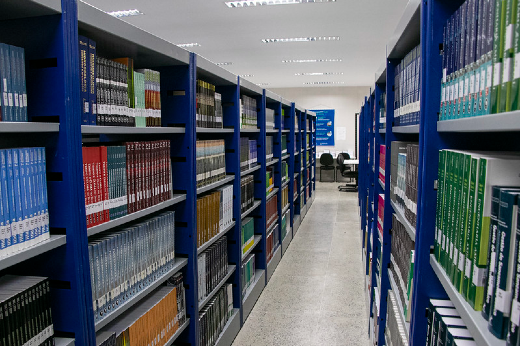 Imagem: estante de biblioteca