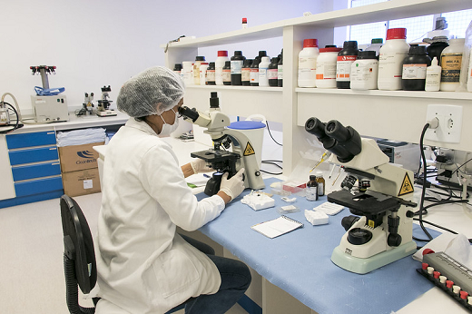 Imagem: Pesquisadora sentada em uma bancada do Laboratório de Oncologia Experimental, olhando em um microscópio. Na bancada, há outro microscópio e diversos vidros e tubos com reagentes  (Foto: Viktor Braga/UFC)