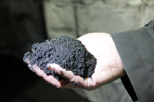 Imagem: Mão segurando biochar, tipo de carvão vegetal