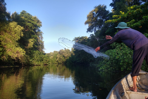 Imagem: Homem joga rede no rio para coletar peixes