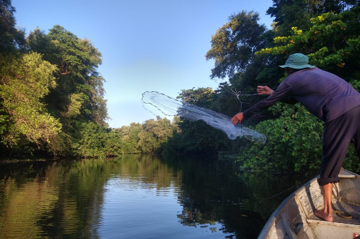 Imagem: Coleta de peixes para análise de microplásticos 