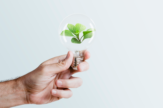 Imagem: mão segurando uma lâmpada que possui uma muda de planta em seu interior