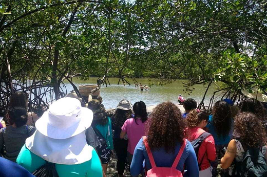 magem: Os estudantes fizeram o levantamento da fauna e da flora, do solo, do clima, da questão das ondas, das marés e das atividades sociais e econômicas que já existem na região, como turismo (Foto: Acervo do Curso de Ciências Ambientais da UFC)