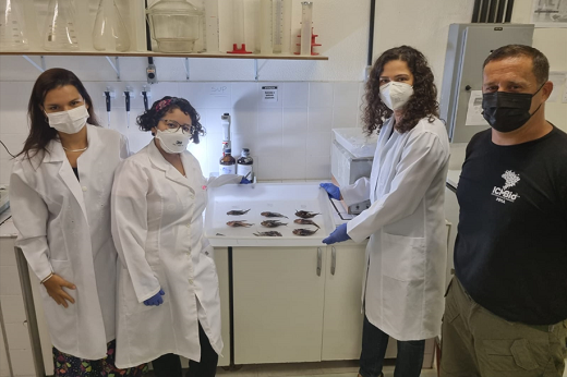 Imagem: No laboratório, com peixes-leão capturados, estão as servidoras técnicas de pesquisa do LABOMAR Tatiane Garcia, Tallita Tavares, Sandra Paiva; e Beto Miranda, analista ambiental do Parque Nacional de Jericoacoara, servidor do ICMBio (Foto: LABOMAR)