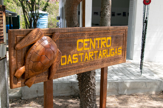 Imagem: placa na entrada do Centro de Atendimento Emergencial às Tartarugas Marinhas do Estado.