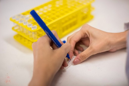 Imagem: mão segura caneta e marca tubos de ensaio em laboratório