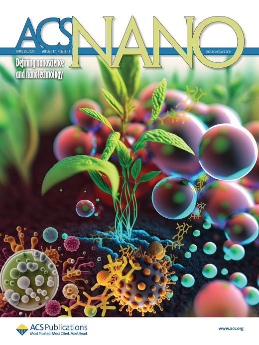 Imagem: Capa da revista ACSNano, que mostra ilustração com planta e micro-organismos abaixo