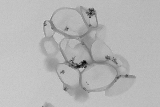 Imagem: Imagem das nanocápsulas obtidas por Microscopia Eletrônica de Transmissão (TEM) (Imagem: Reprodução)