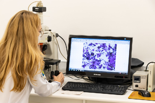 Imagem: Pesquisadora em laboratório da UFC (Foto: Viktor Braga/UFC)