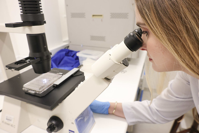 Imagem: pesquisadora em laboratório observa lâmina com microscópio