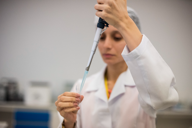 Imagem: pesquisa em laboratório