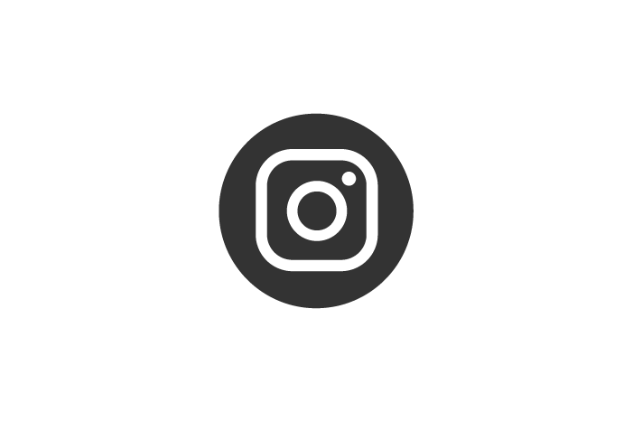 ÍCONE instagram CINZA