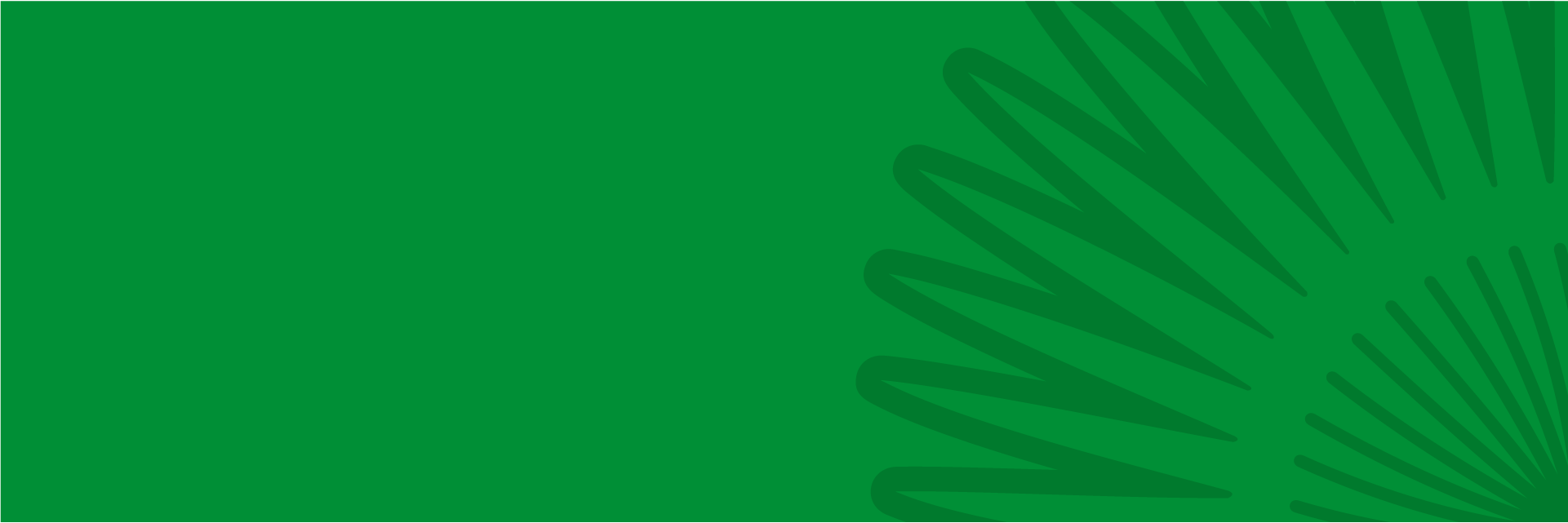 BANNER VERDE